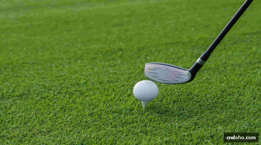 悟空体育平台🎯 一键锁定，精彩赛事不错过！